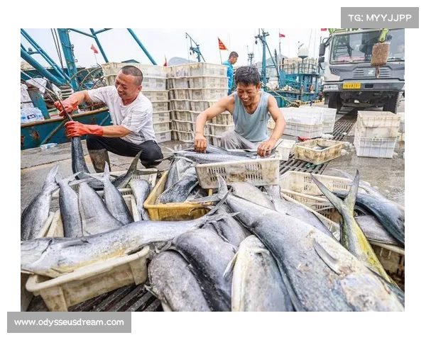 欢乐渔场攻略大全：渔获丰收秘诀与极品鱼种指南
