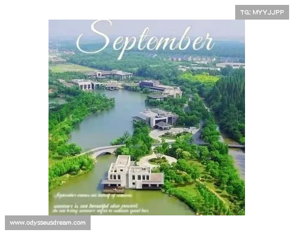 森林之约:双人共赏 森林之约:双人共赏